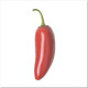 Hot pepper seeds «Jalapeno red»