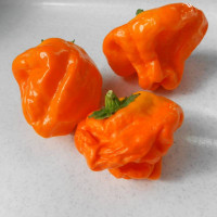 Насіння перцю гострого «Машрум жовтий»