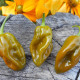 Hot pepper seeds «Fatalii green»