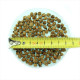 One-seed hawthorn seeds