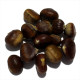 Sweet chestnut seeds