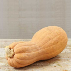 Pumpkin seeds «Violina»