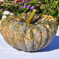 Pumpkin seeds «Beung karn»