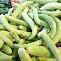 Насіння огірка «Вірменський»