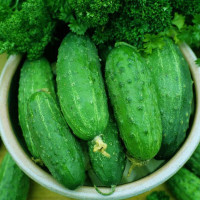 Насіння огірка «Льоша» F1