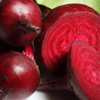 Семена свеклы «Кровь быка»