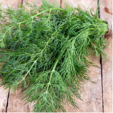Dill seeds «Odorous»
