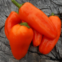 Насіння перцю солодкого «Ланчбокс помаранчевий»