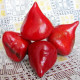 Sweet pepper seeds «Lesya»
