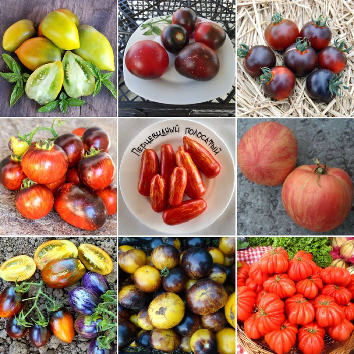 Набор семян «Экзотические томаты» - 9 пакетиков по 10 семян 