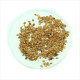 Cotoneaster horizontalis seeds