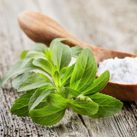 Stevia seeds «Sugarleaf»