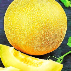 Melon seeds «Tavrichanka»