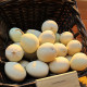 Семена тыквы декоративной «Яйцо в гнезде»