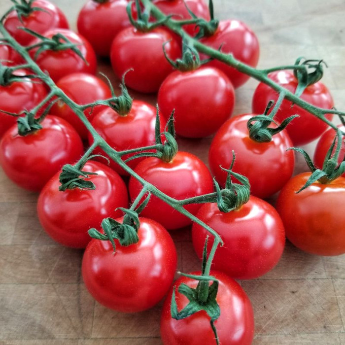 Насіння томату «Чедвік черрі»