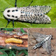 Trap «Leopard moth»