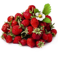 Насіння суниці «Регіна»