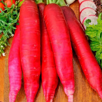 Daikon seeds «Red giant»