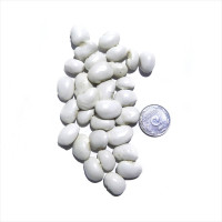 Bean seeds «Eureka»