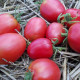 Tomato seeds «De-barao pink» 