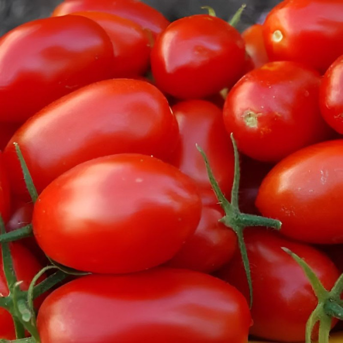 Насіння томату «Міссурі»