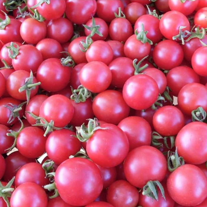 Tomato seeds «Cherry pink» 