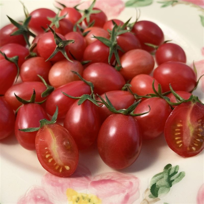 Насіння томату «Князь буржуа»