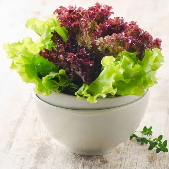 Salad seeds «Шаблон»