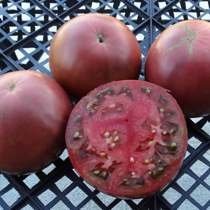 Насіння томату «Індійський темно-фіолетовий біфштекс»