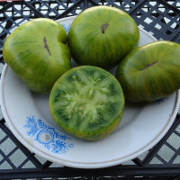 Насіння томату «Дельта Дайвер Грін»