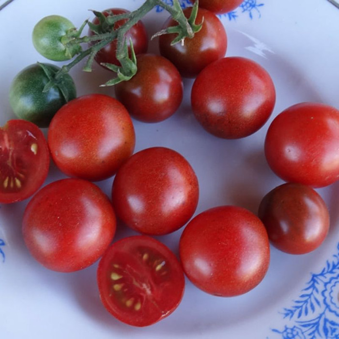 Насіння томату «Капучино»