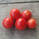 Tomato seeds «Balcony miracle red» 