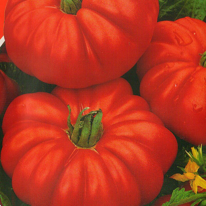 Tomato seeds «Figured» 