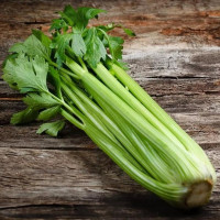 Celery seeds «Pascal»