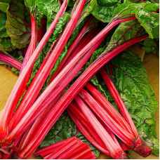 Chard seeds «Scarlet»