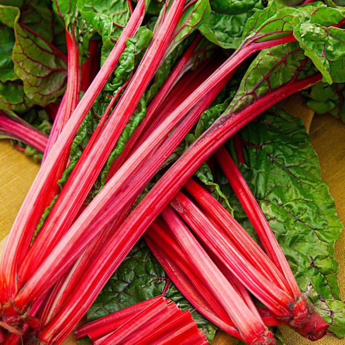 Chard seeds «Scarlet»