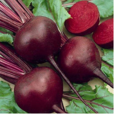 Beet seeds «Mulatto»