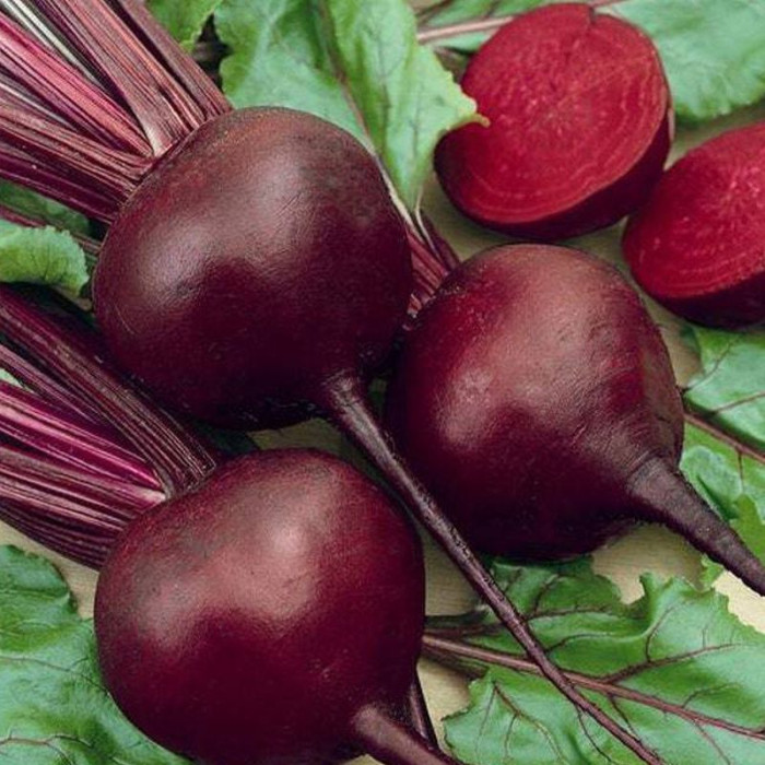 Beet seeds «Mulatto»