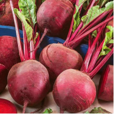 Beet seeds «Delicatessen»