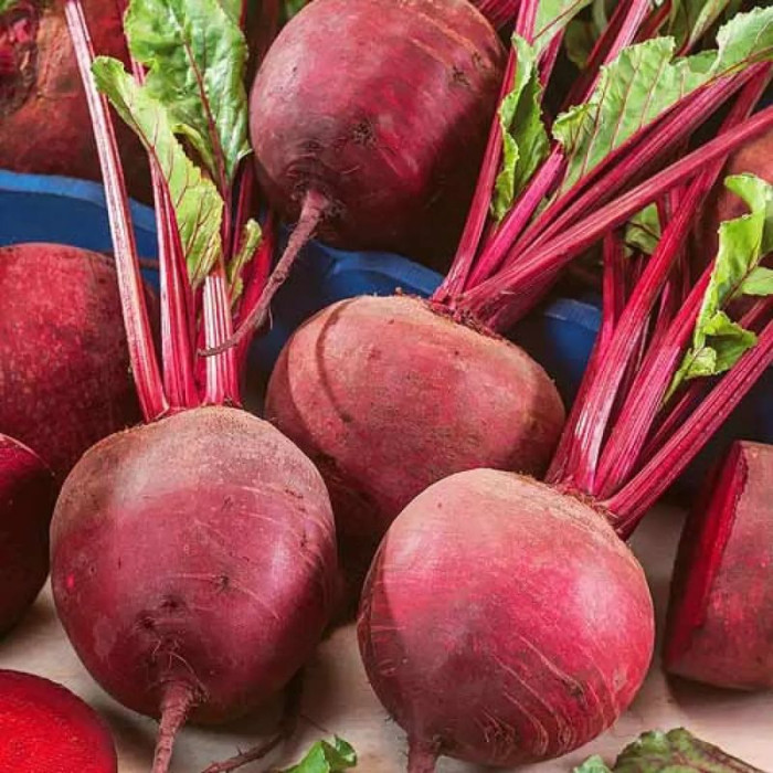 Beet seeds «Delicatessen»