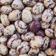 Bean seeds «Borlotto»