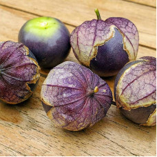 Tomatillo seeds «Purple Spark»