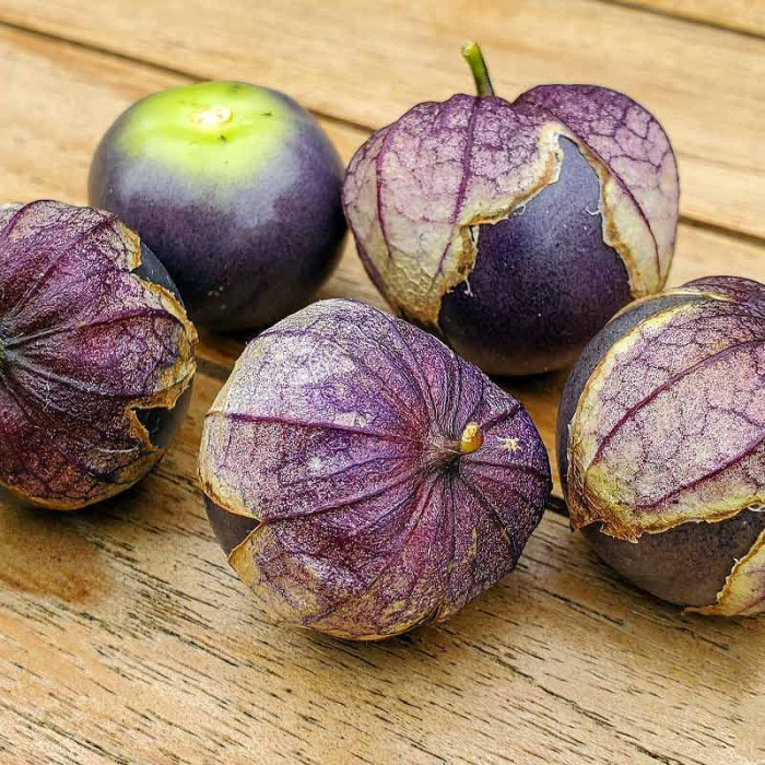 Tomatillo seeds «Purple Spark»