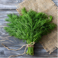 Dill seeds «Bouquet»