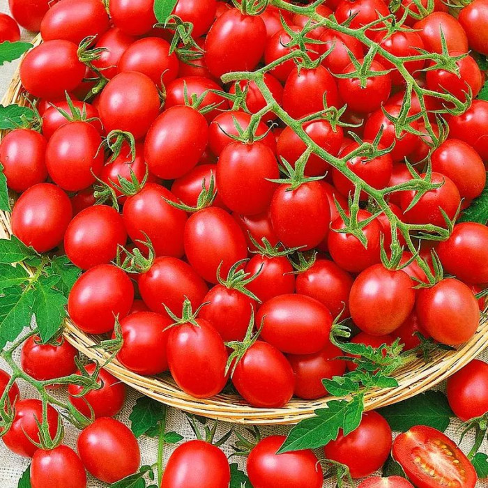 Tomato seeds «Children's sweet» 