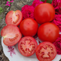 Tomato seeds «Bendrick's plum red round» 