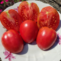 Tomato seeds «Dwarf Melanie's Ballet» 