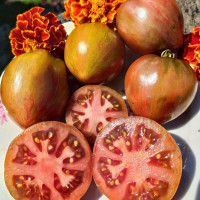 Tomato seeds «Dwarf Grail» 