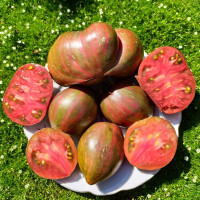 Tomato seeds «Dwarf Purple Heartthrob» 