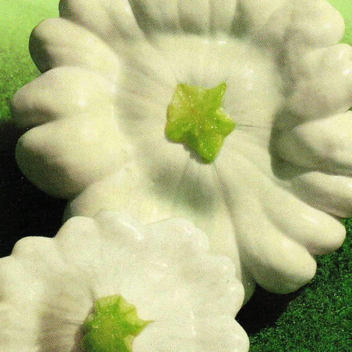 Pattypan squash seeds «Umbrella»